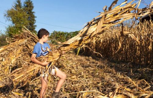 Capricorn Moon on The Natal Chart