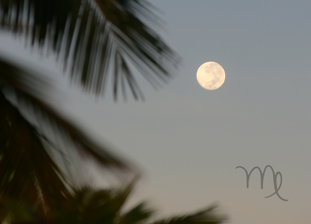 Virgo Full Moon Feb 24th 2024 - What To Expect?